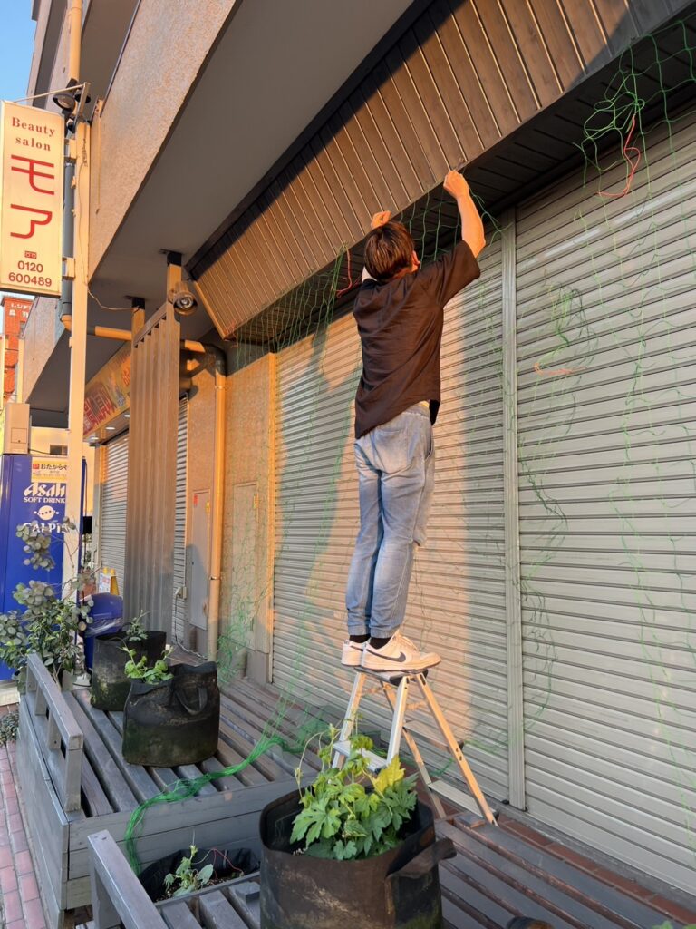 ゴーヤの準備