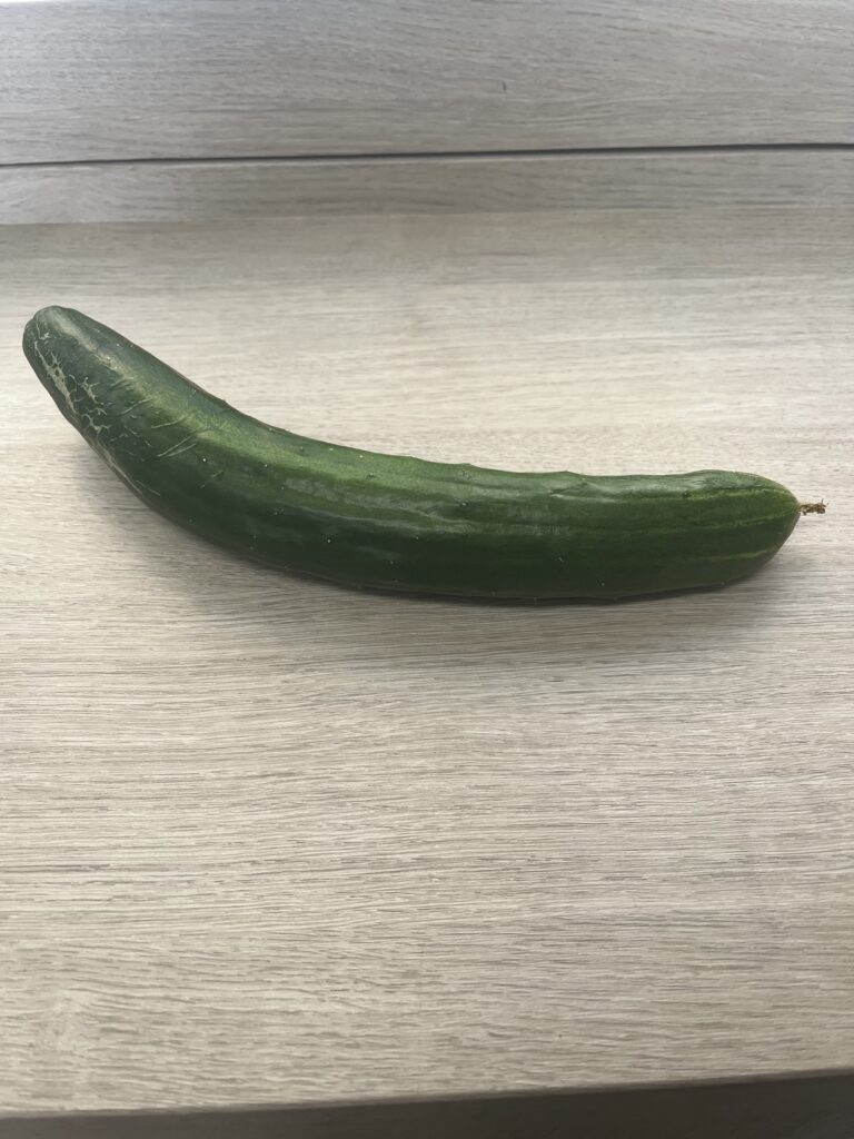 夏の収穫