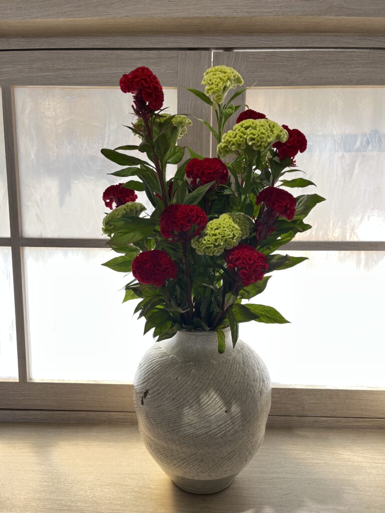 秋っぽくチェンジ