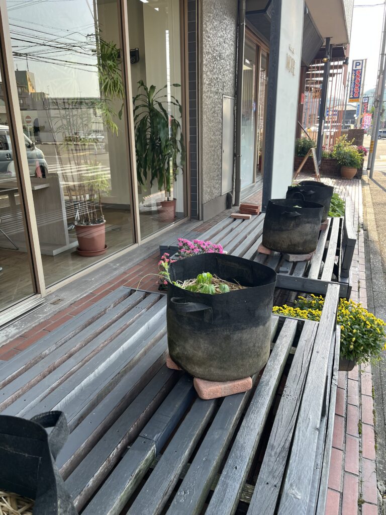 ゴーヤ準備完了